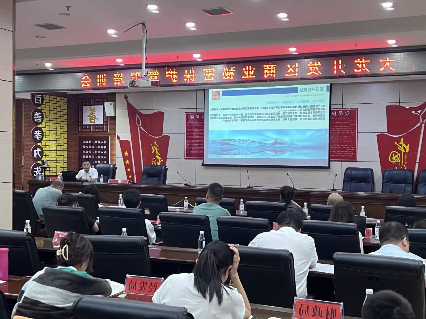 龙8国际受邀出席铜仁市新型功能材料产业专利导航项目启动会(图2)